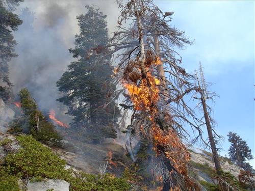 Drip torch ignition on Highbridge Prescribed Burn, Sequoia and Kings Canyon National Parks, October 2005