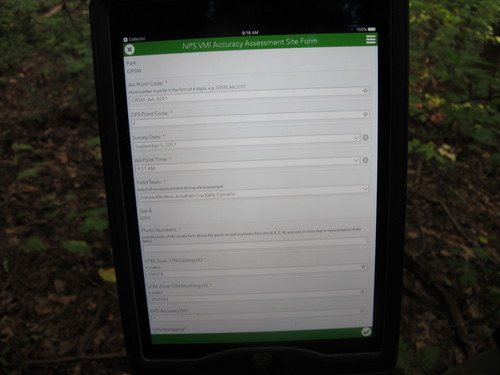 GRSM Accuracy Assessment. Plot Code: GRSM_AA_0291_1