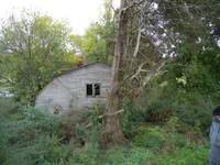 A house next to a tree in a wooded area.