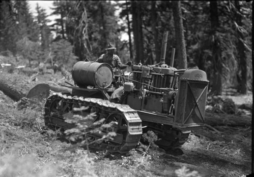 Yosemite Lumber Co. - Best cat in operation.