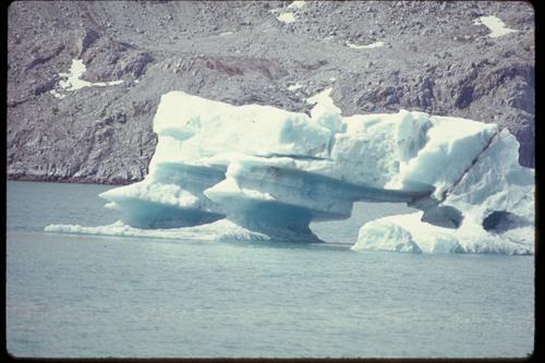 Views of Glacier Bay National Park and Preserve, Alaska