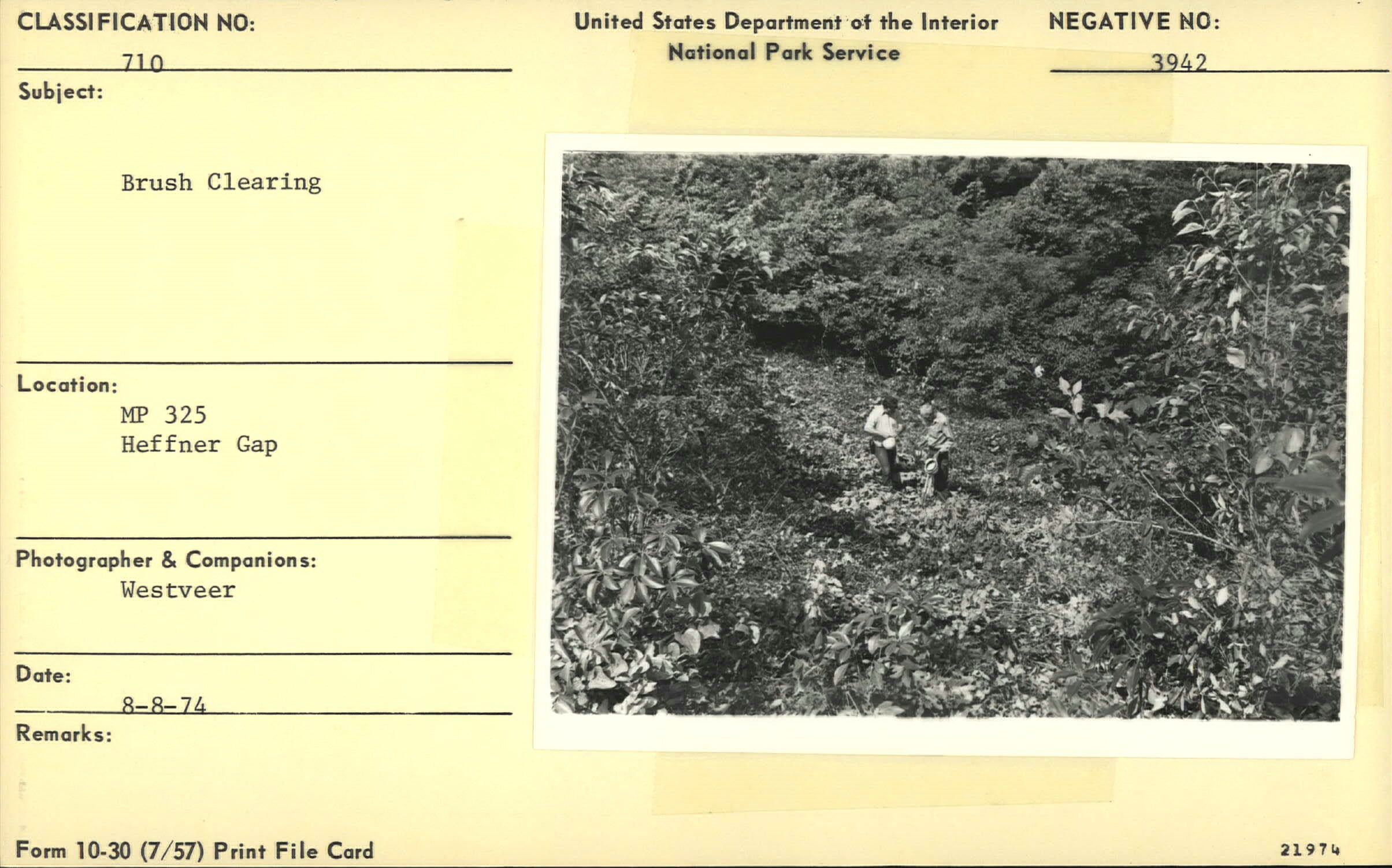 Brush clearing at Heffner Gap