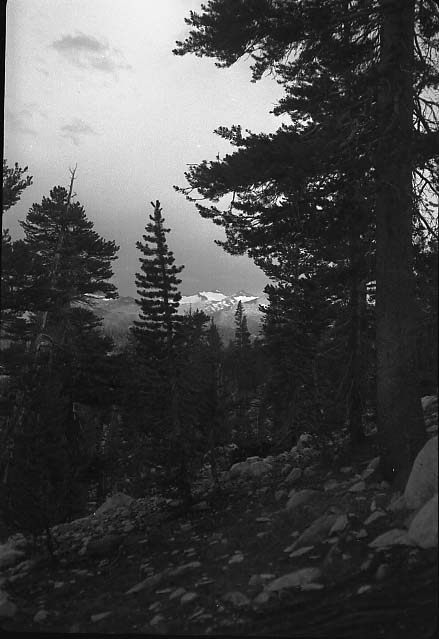 Joseph Dixon Collection