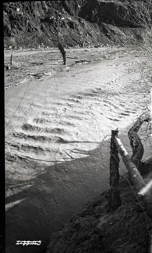 East boundary fence during flood, Parunuweap Canyon.