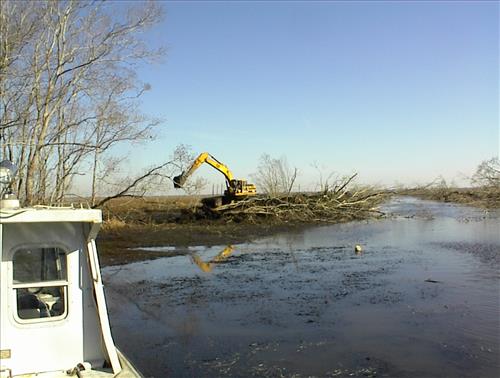 Restoration of abandoned oil and gas canal at the Barataria Preserve