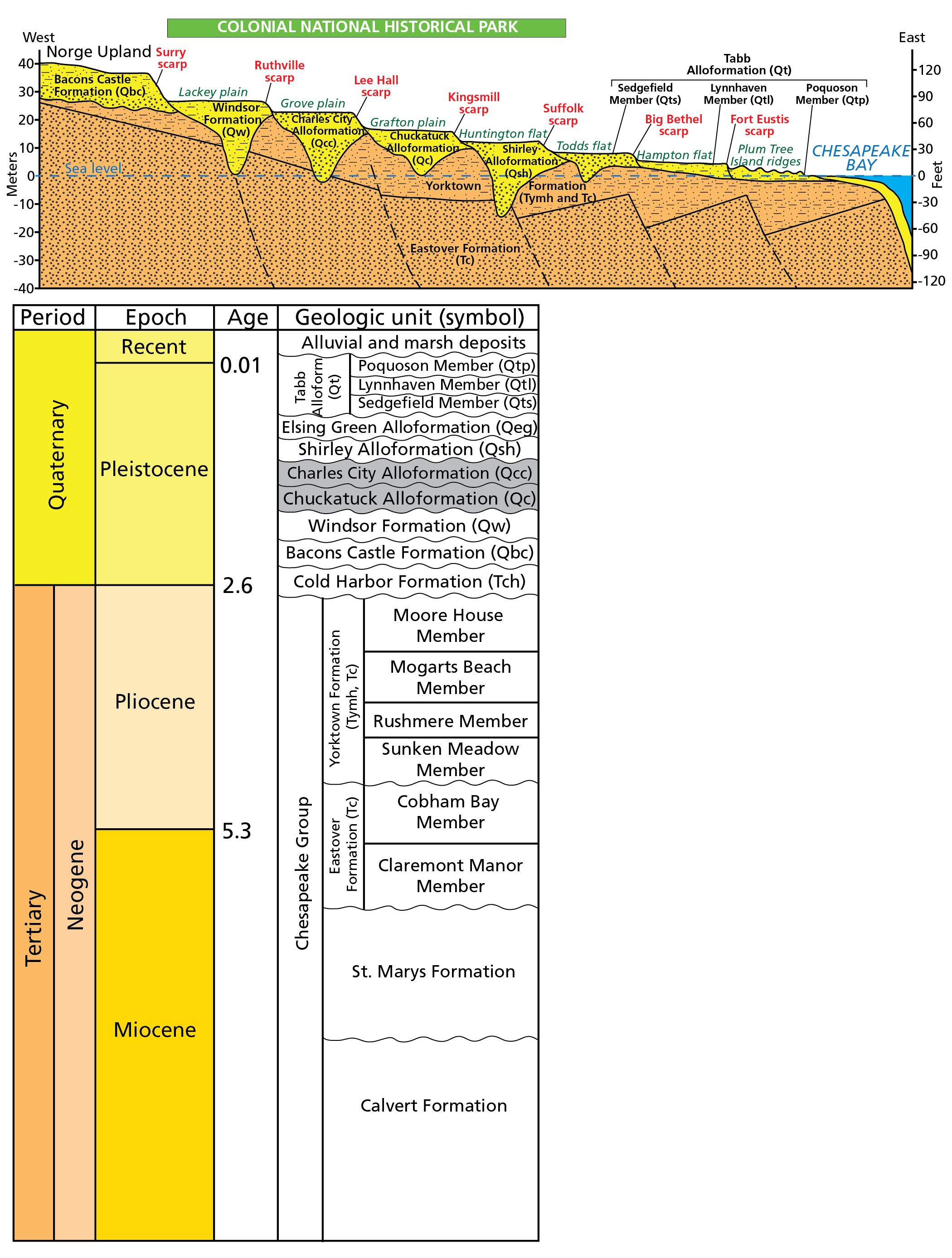 Generalized cross section and stratigraphic column of the Coastal Plain in Virginia.