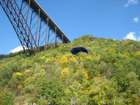 parachute openn...bridge in the background