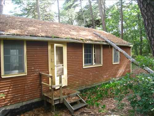 properties to be demo-ed