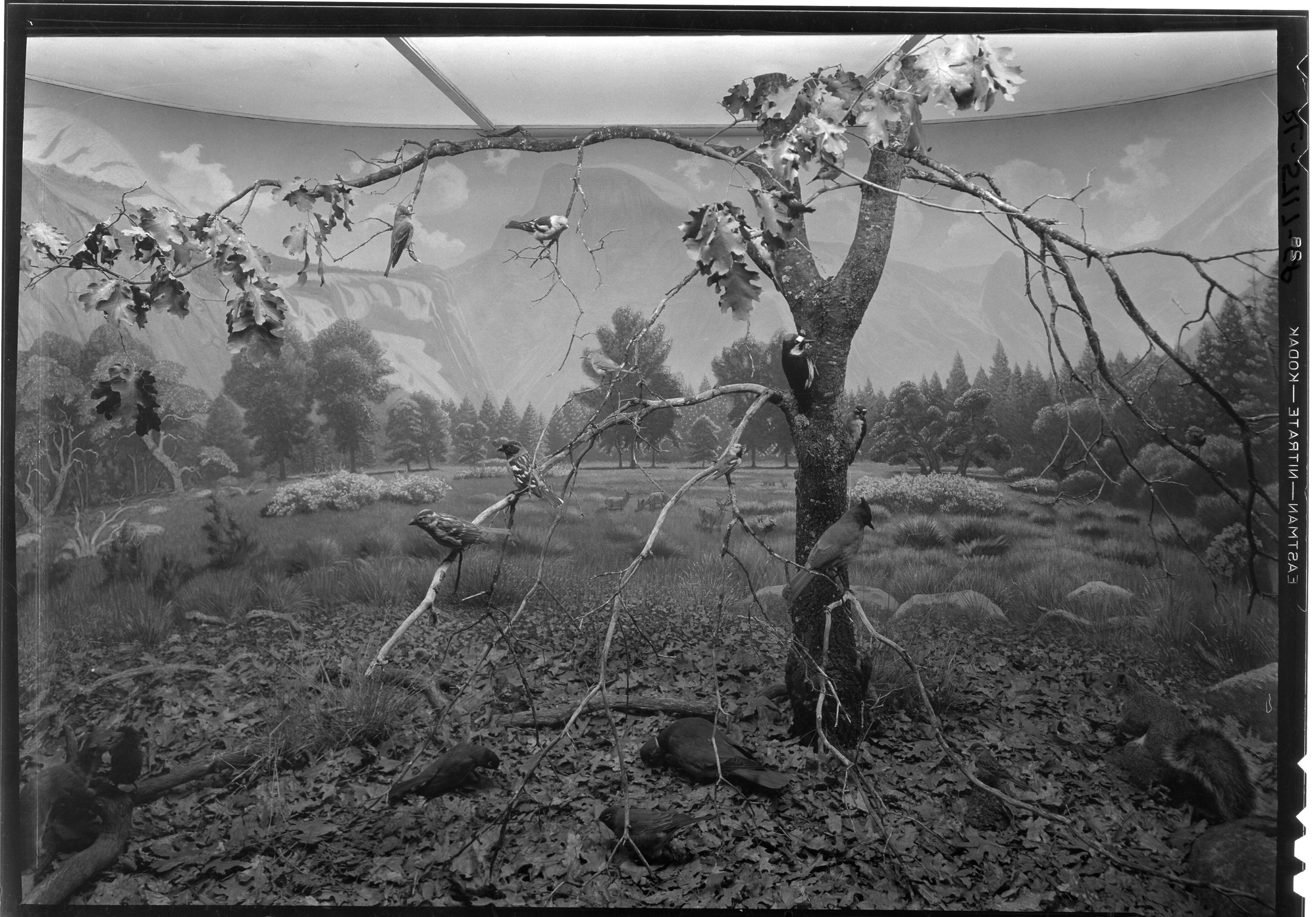 Transition Zone case in Museum
