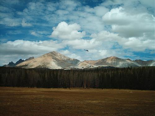 Hot Springs wildfire, Sequoia and Kings Canyon National Parks, summer 2004