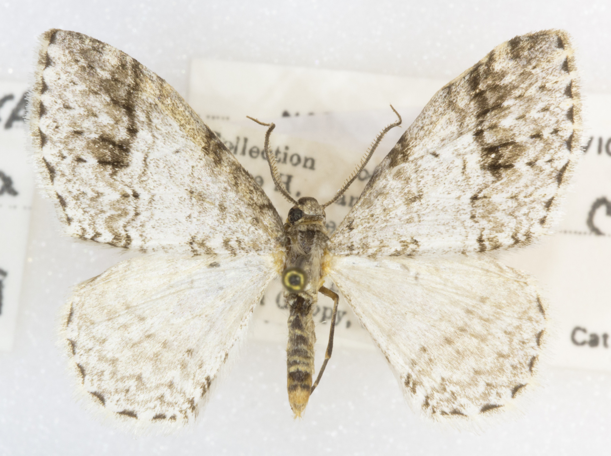 Grand Canyon Museum Collection
Address: 2 Albright Ave, Grand Canyon Village, AZ 86023
Phone: (928) 638-7769
https://www.nps.gov/common/utilities/sendmail/sendemail.cfm?o=6CB7F89AA2FEBAAF91AE1E90DA18A7A1439E528653B8AC914F0CE08011C0&r=/grca/learn/historyculture/muscol.htm