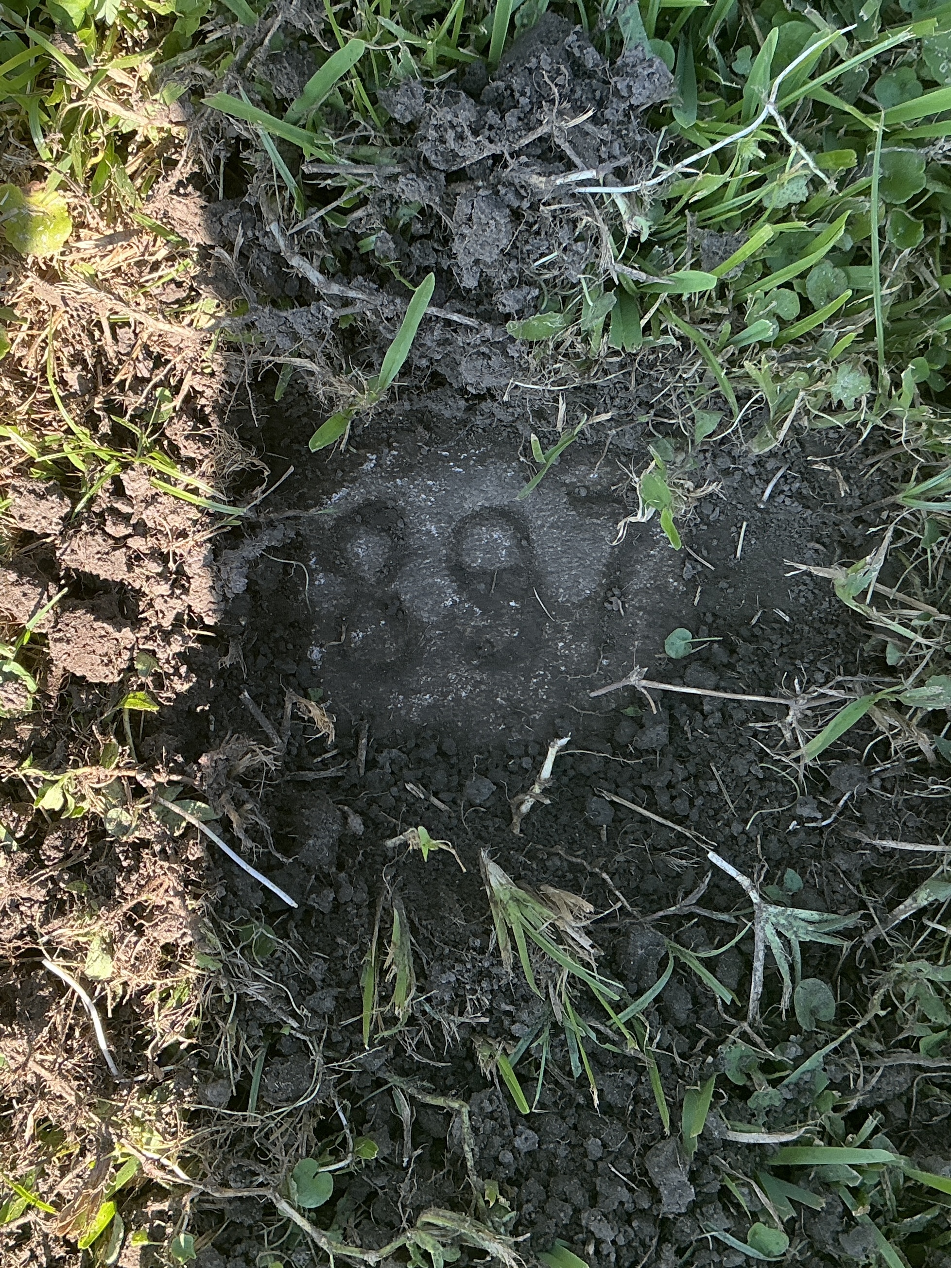 Top of flat marble marker