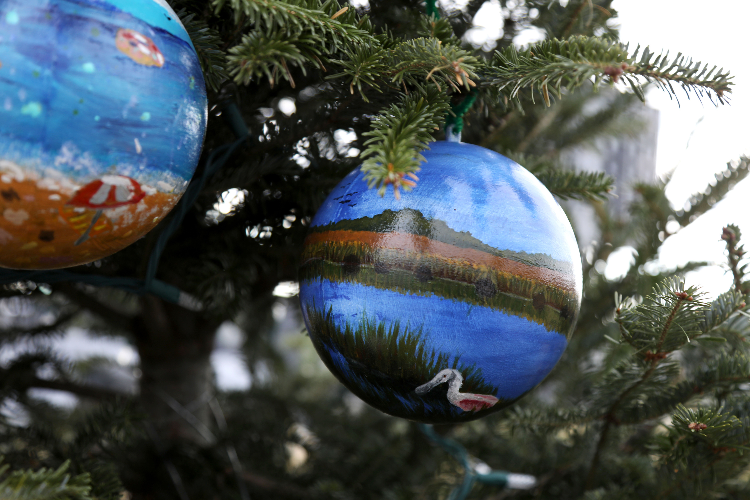 A student-made ornament of the Everglades hangs on the Florida tree