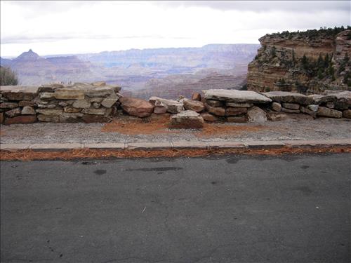 Duck on a Rock January 2011