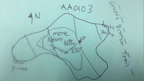 GRSM Accuracy Assessment. Plot Code: GRSM_AA_0103_map