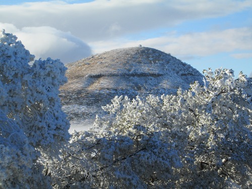 snow and blowing snow on trees at rocks