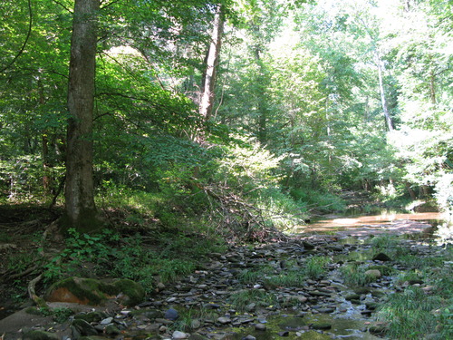 GRSM Accuracy Assessment. Plot Code: GRSM_AA_0752_2