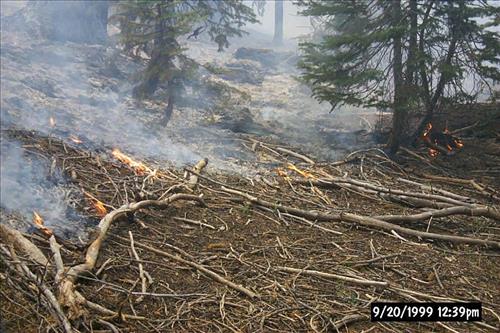 Dark Wildland Fire, July-September 1999, Yosemite National Park
