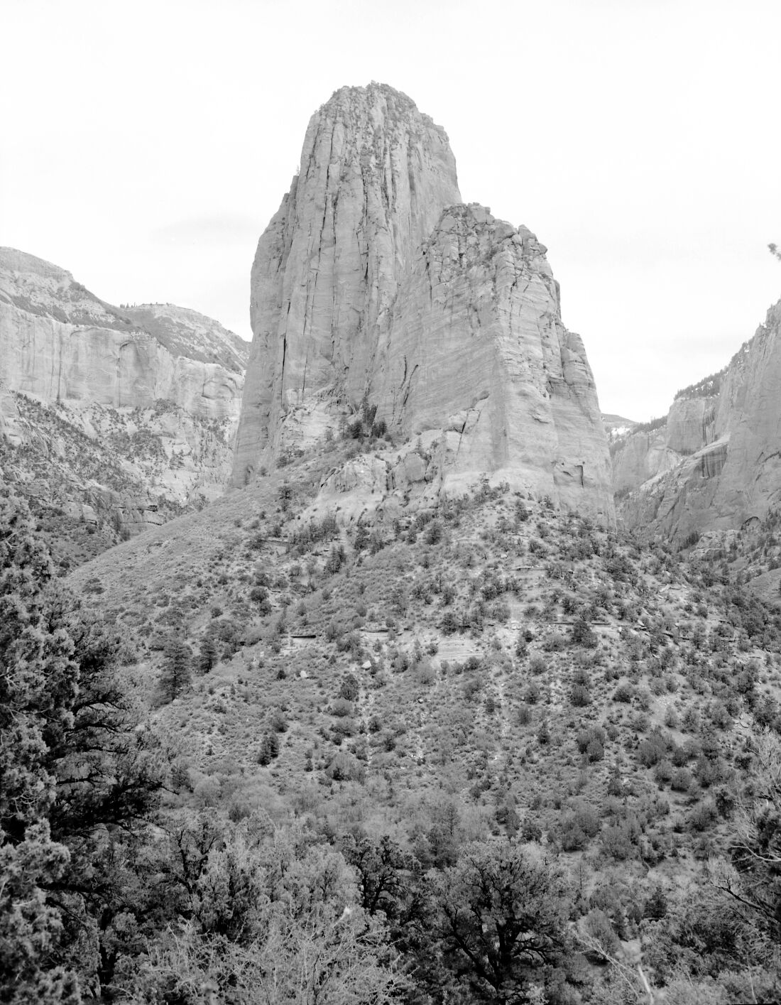 Tucupit Peak in Kolob section. Near three forks of Taylor Creek.