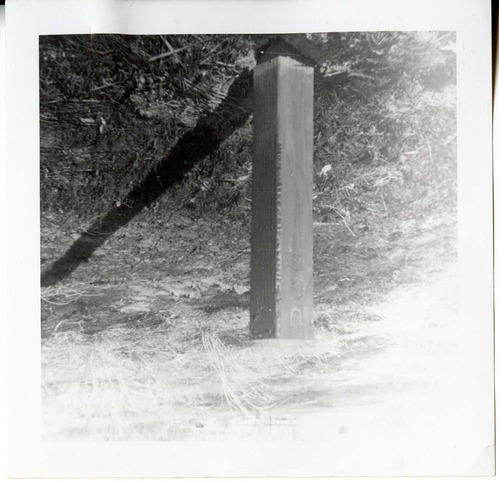 Brush clearing and removal.