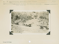 hfca_1607_iva_013_10_003_3298a_a. Pronghorn, American -- Feed troughs. [The reverse of the envelope associated with this photo card includes the additional caption:] ...under unfavorable conditions, i.e. feeding troughs.. Locality: Indian Gardens, Grand Canyon National Park, Arizona. Negative #: 3298