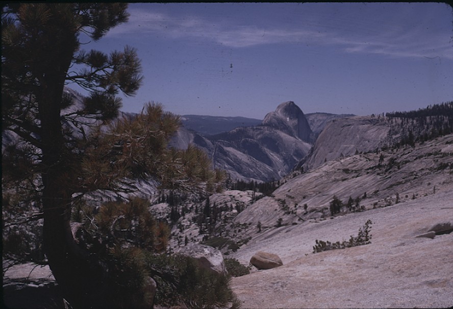 Half Dome from Olmstead Point