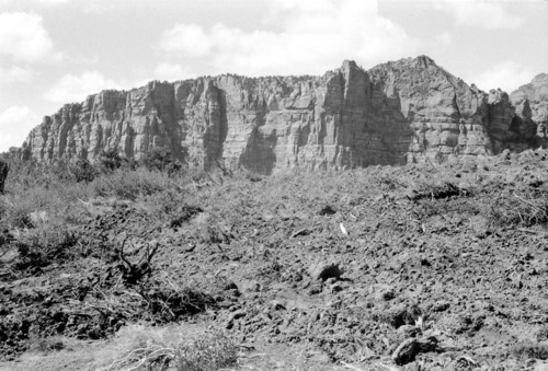BW photo of the 1937 grazing study 35MM. Photo of chained area.