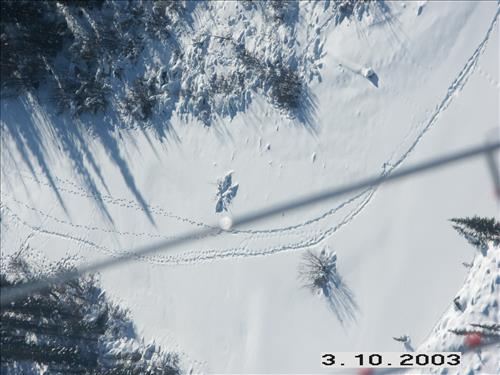 1 Yukon-Charley Rivers National Preserve Wolf Capture 2003