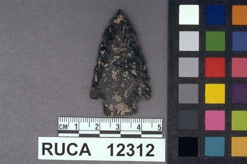 RUCA   12312 -- Point, Projectile
