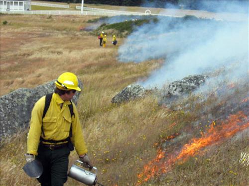 Prescribed Fire