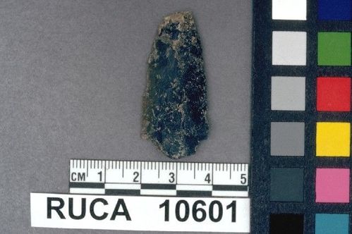 RUCA   10601 -- Point, Projectile