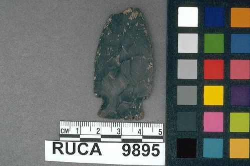 RUCA    9895 -- Point, Projectile