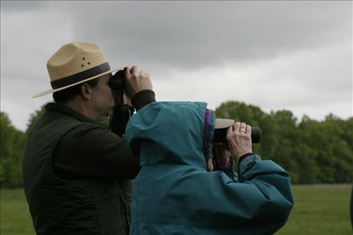 Bird watching at Coliseum site