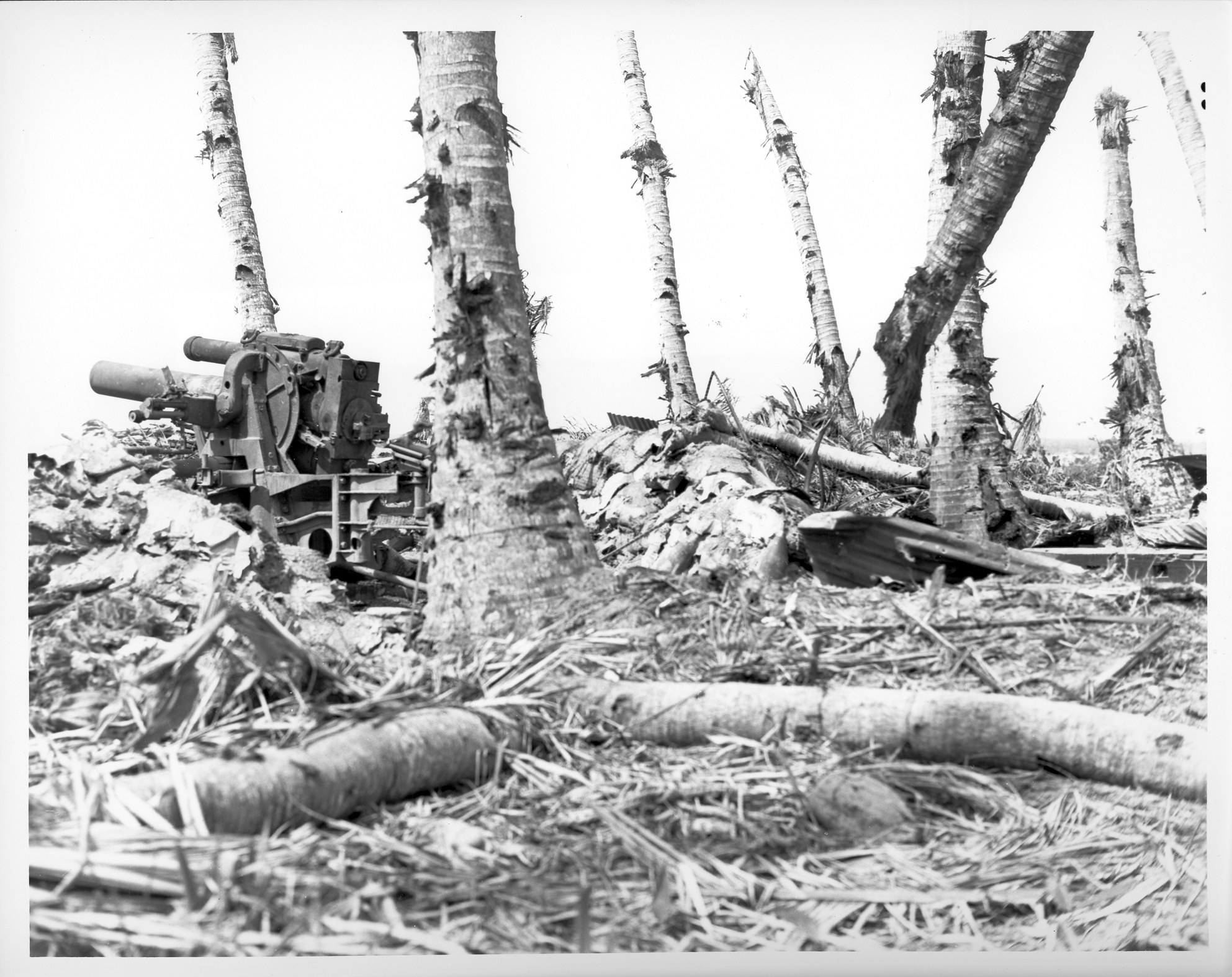 A large, stationary gun among the wreckage of trees.