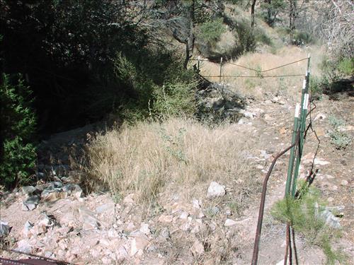 Photos of springs in Mojave National Preserve