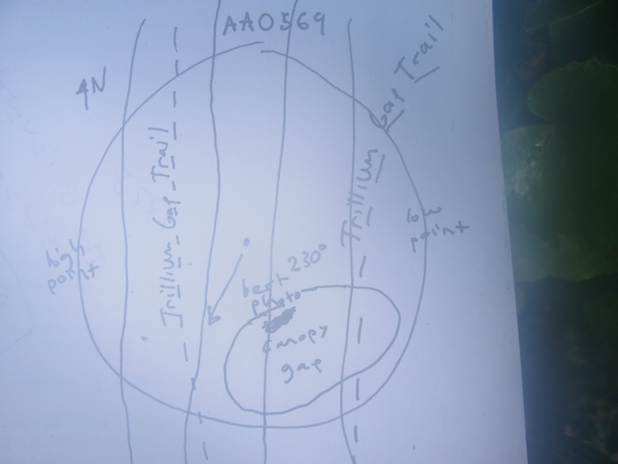 Plot Code: GRSM_AA_0569_7