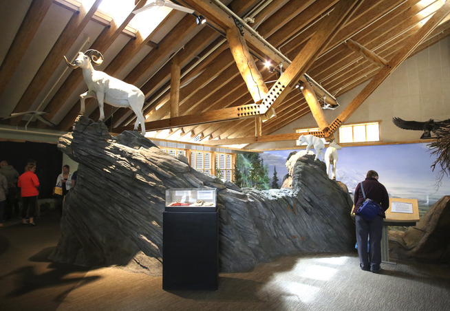 a woman near models of sheep