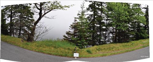 Acadia NP Historic Motor Road Vista 31 thru 45 Images September 2013