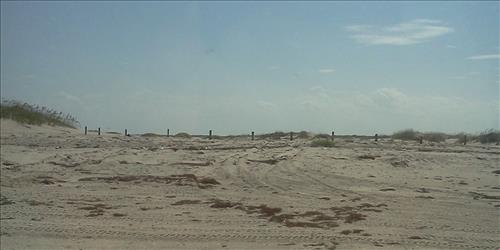 tidal flat disturbance PAIS