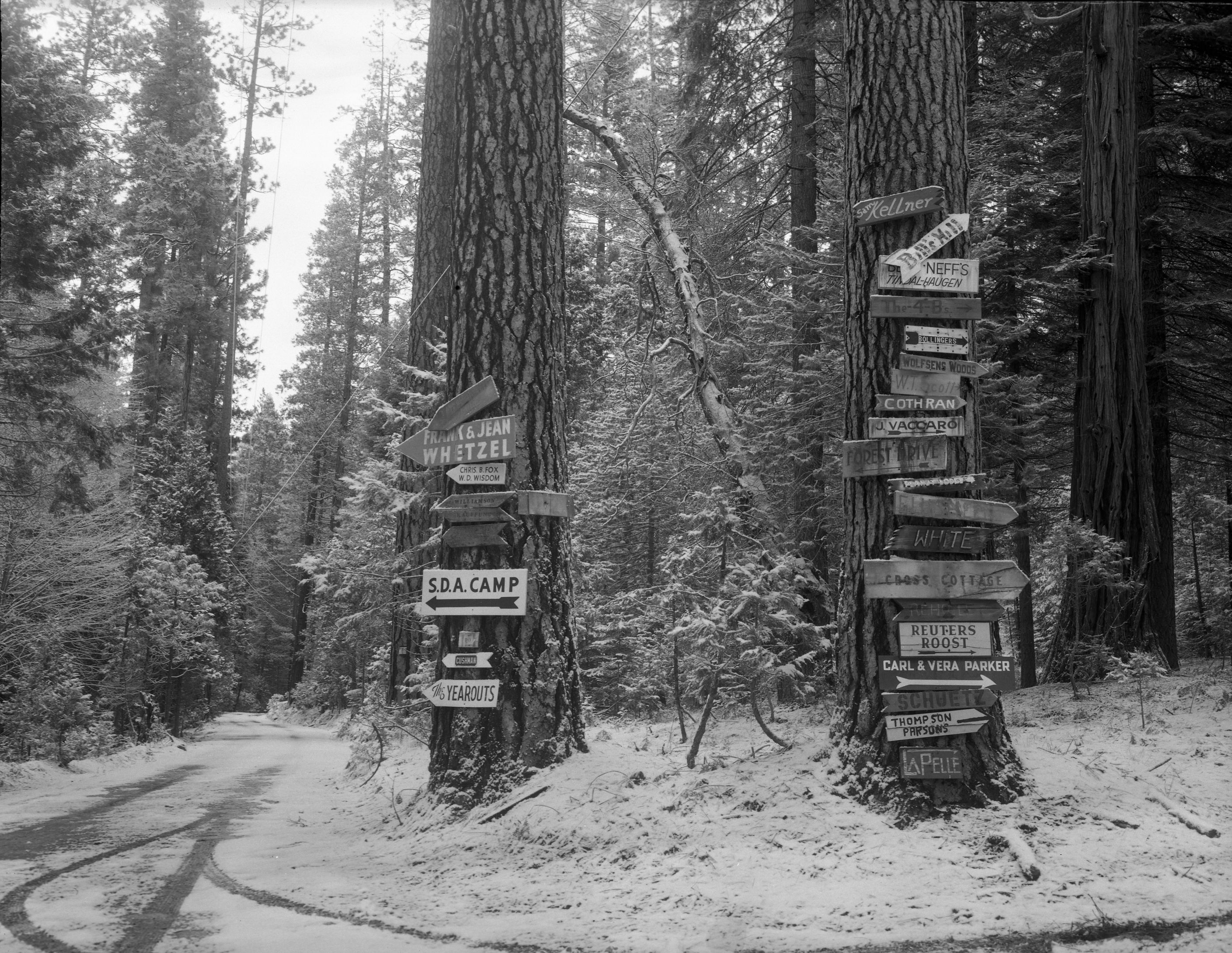 Signs on Private Lands south side of the Merced River at Wawona.