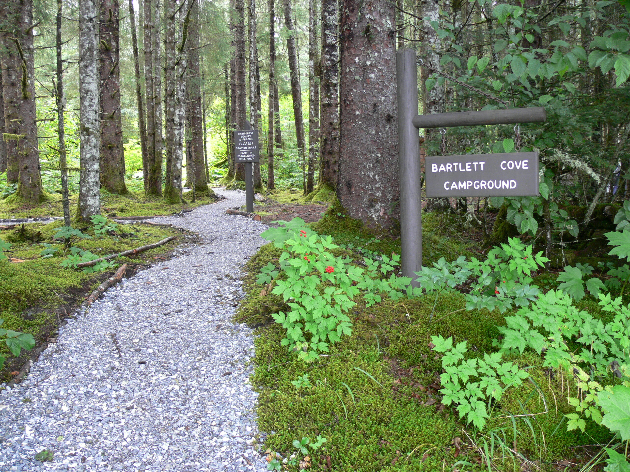 Gravel trail leading into a mossy forest. A sign reading "Bartlett Cover Campground" can be seen to the right. 