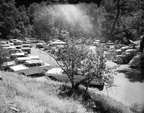 Visitor use - Weeping Rock parking area, parking area filled to capacity, 52 cars counted.