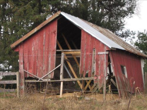 Frame shed behind Thomas house at Monocacy N.B., January 16, 2007.