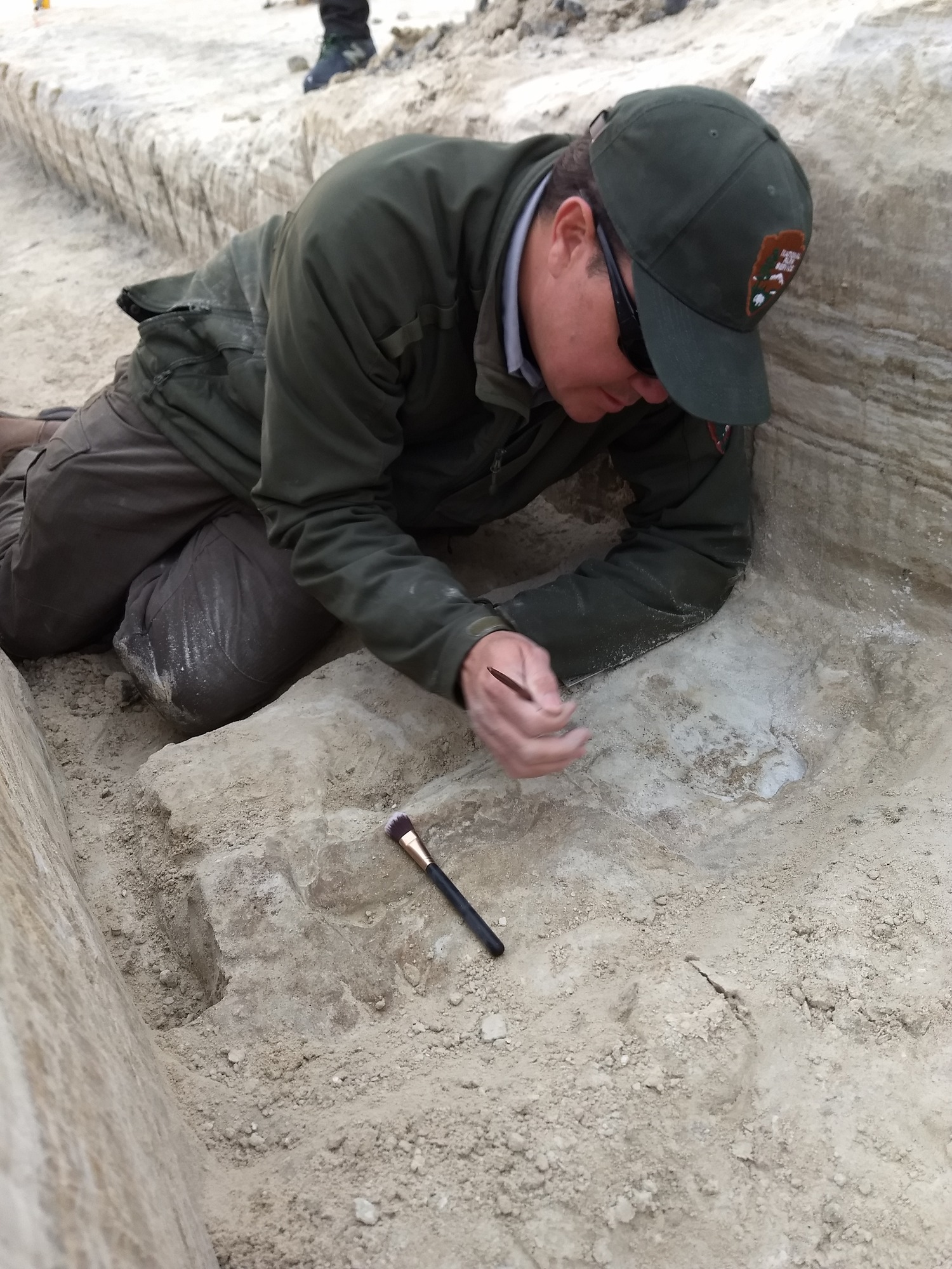 Resource Program Manager David Bustos kneels over a sediment layer inside a trench to closely brush away sediment from a footprint.