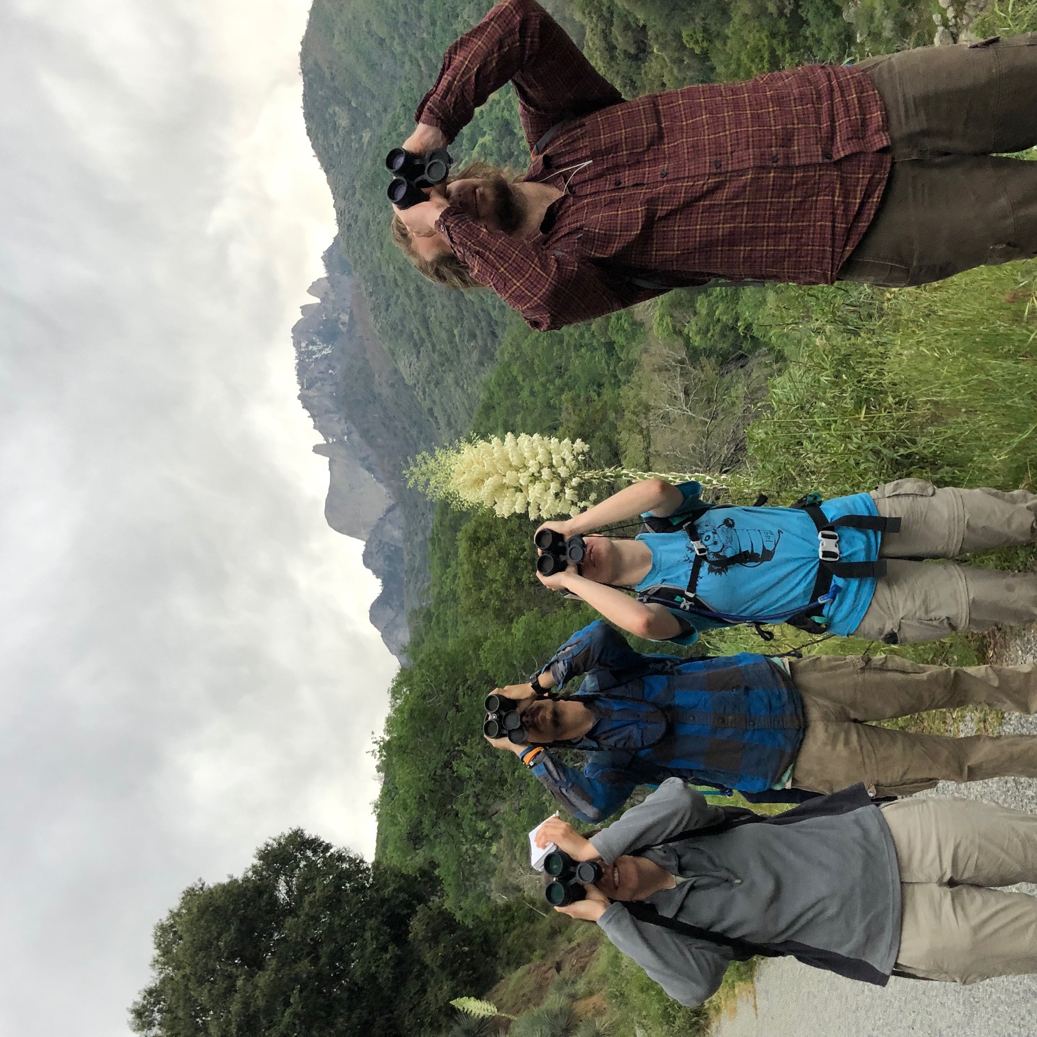 Four biologists looking through binoculars, with green foothill vegetation and blooming yucca in background