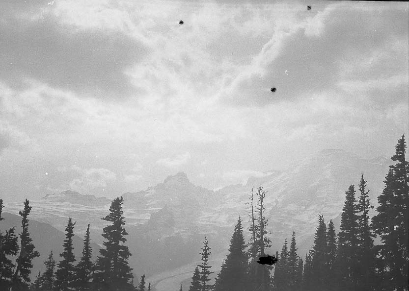 Mt. Rainer National Park