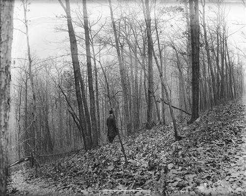 [C5235-CC5244] Mine Brook, NJ