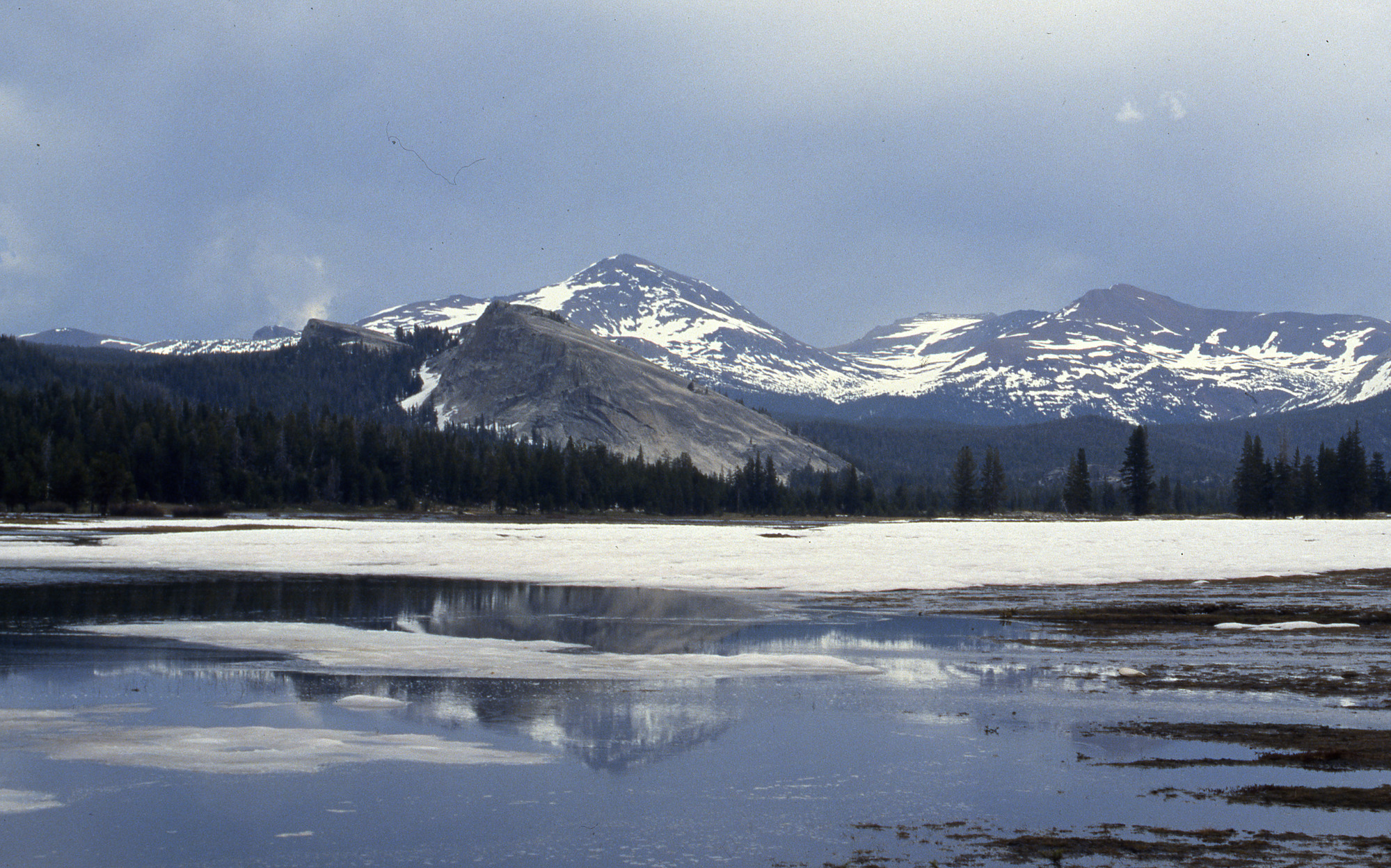 Tuolumne Meadows