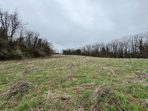Open Field on Appalachian National Scenic Trail land in Boiling Springs, PA. 