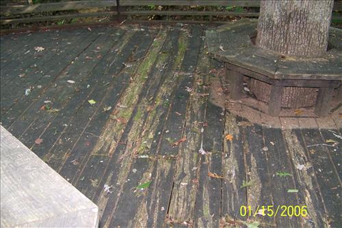 Piedmont Forest Trail deck at Prince William Forest Park in September 2009
